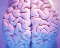 hidrosefali nedir ve belirtileri