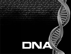 dna testi nasıl yapılır