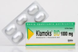 klamoks-bid-1000-mg