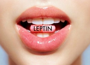 leptin hangi besinlerde bulunur