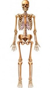 Kemik ve kas sağlığımızı korumak için neler yapmalıyız