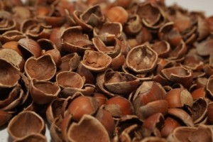 Fındık Kabuğu Suyunun Faydaları