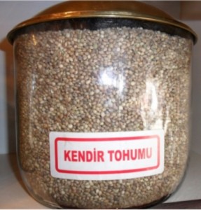 Kendir Tohumu Faydaları