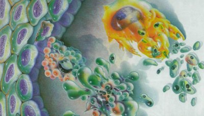 Lap Kanseri Belirtileri