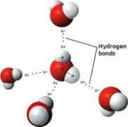 hidrojen-bag
