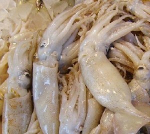 kalamar