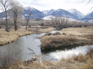 İlkbaharda sudaki değişiklikler