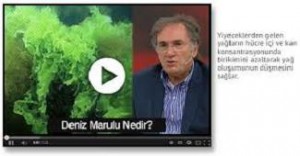 İbrahim Saraçoğlu Deniz Marulun yararları