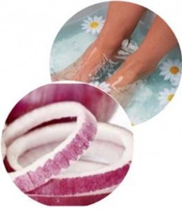 Nasır-İcin-Sogan-Kuru