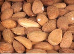 aci-kayisi-cekirdegi