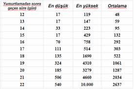 Hamilelikte Kan Testi Değerleri
