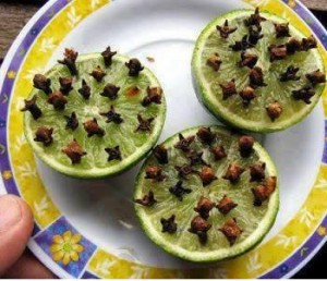 sivrisinek-kovucu-yontemler