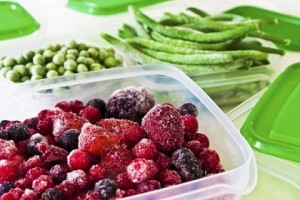 dondurucuda_besin_saklamak