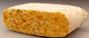 tempeh