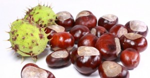 Varisin bitkisel tedavisi