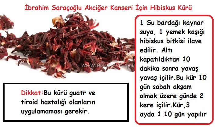 İbrahim saraçoğlu akciğer kanseri kürü