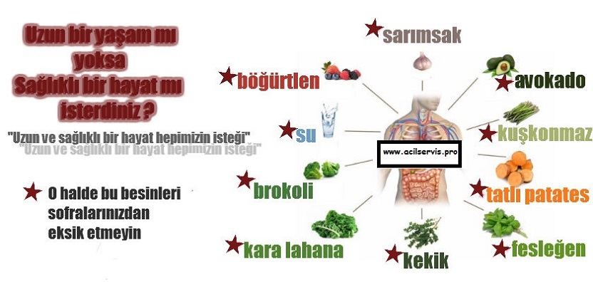 Gençlik iksiri besinler