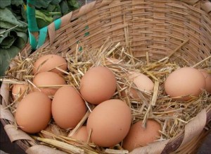 Köy yumurtası nasıl anlaşılır?