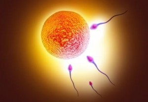 Sperm Testi Neden Yapılır?