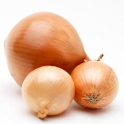 İbrahim Saraçoğlu Yağ Bezeleri İçin Soğan Kürü