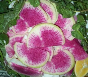 Alabaş neye iyi gelir?