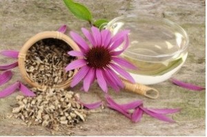 Soğuk algınlığına karşı etkili bitkiler