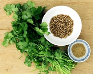 Kişniş neye iyi gelir?