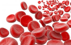 Kansızlıkla savaşan besinler