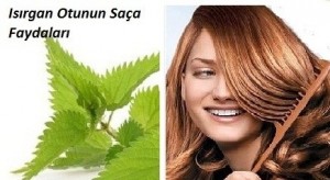Parlak saçlar için ısırgan suyu