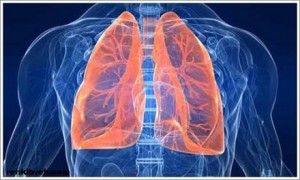 Akciğerleri temizleyen besinler