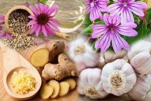 Sigara bırakanlara iyi gelen besinler