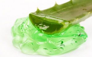 Evde Aloe Vera Jeli Nasıl Yapılır? 