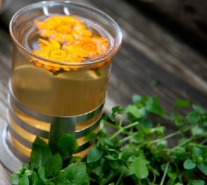 Fesleğen çayı neye iyi gelir?