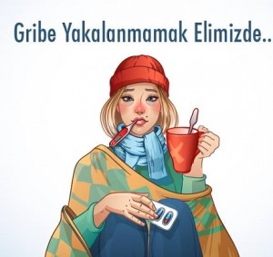 Gripten korunma yolları