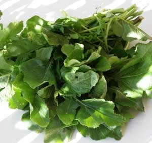 Rokanıın sağlığa yararları