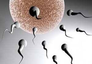 Kısırlık, sperm eksikliği için kür tarifi