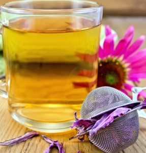 Ekinezya çayının yararları