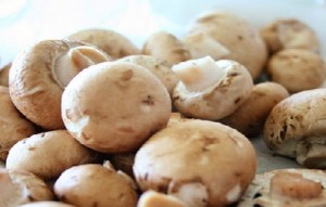 Kültür mantarının yararları