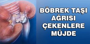 11224466_666445630166909_2168558459960985369_n1