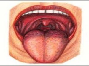 Küçül Dil Ne İşe Yarar?